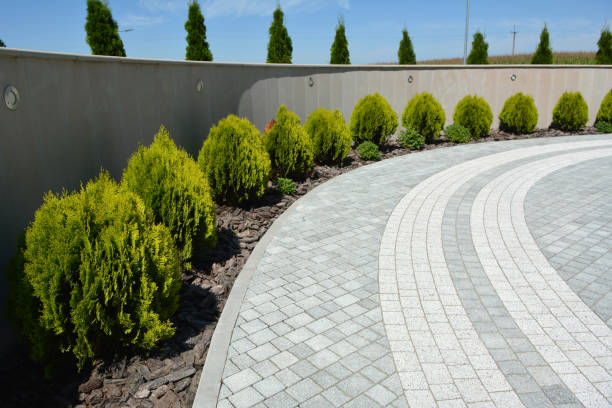 Best Residential Driveway Paver Services  in Redwood Falls, MN